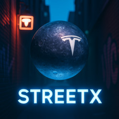 ELON-MER-0002 - Empty Pockets Entry