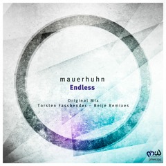 Mauerhuhn - Endless (Night Mix)