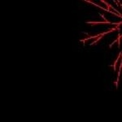 AWESOME guitars!!!!!!!!!!