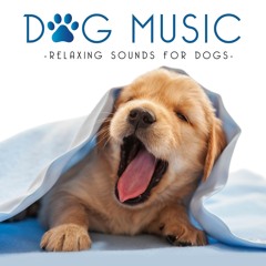 Frédéric Chopin Radio