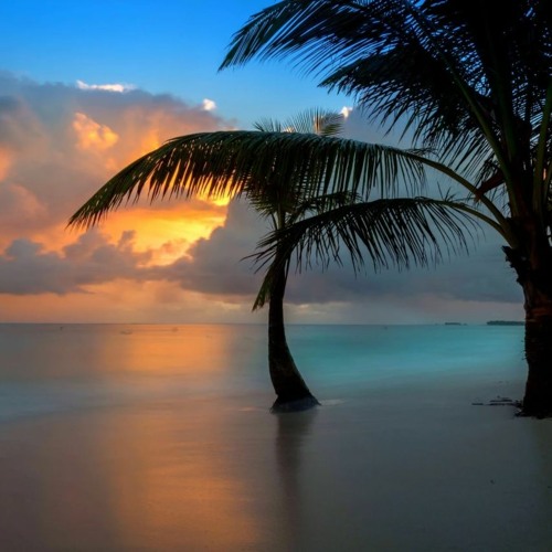 アルコール中毒アルコール消費 wedding background music (FREE DOWNLOAD)