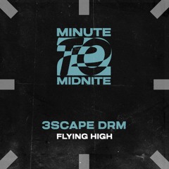 3SCAPE DRM - Flying High