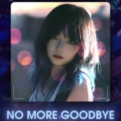 No More GoodBye 2024 (Team Tùng Dior Luxury) . Hoài Anh Ft Poppy.G Remix