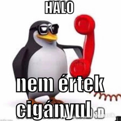hazetomika-bejon a melo
