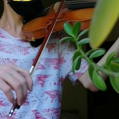 Bach - Gavotte in G Minor (violin)