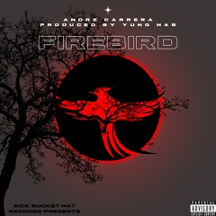 Firebird (Prod. Yung Nab)