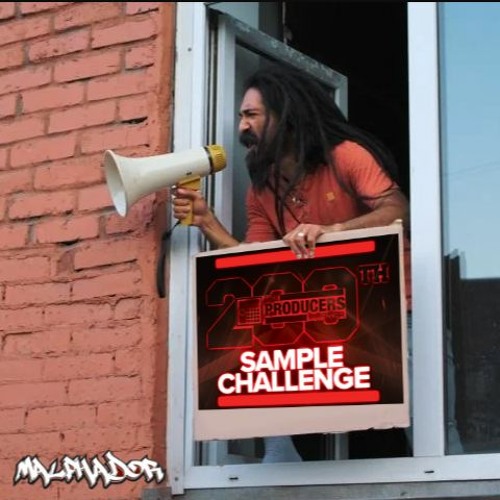 The Pleasant Protester - Sample Challenge 200
