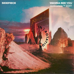 Wanna See You (WRNSH Edit)