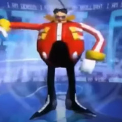Shadow the Hedgehogs a Bitch Ass Mother fucker
