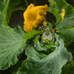 Long Holiday Mix 2020