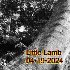 Little Lamb