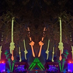 Tanzgestrüpp