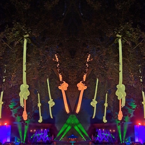 Tanzgestrüpp