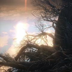 twerl hooligan flop x wave id in 2nd part *2024 q1