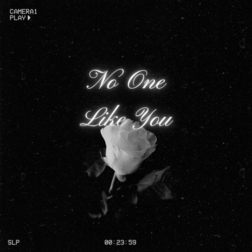 No One Like You
