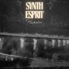 PREMIERE: Richelieu - Synth Esprit [Meteors Recordings]