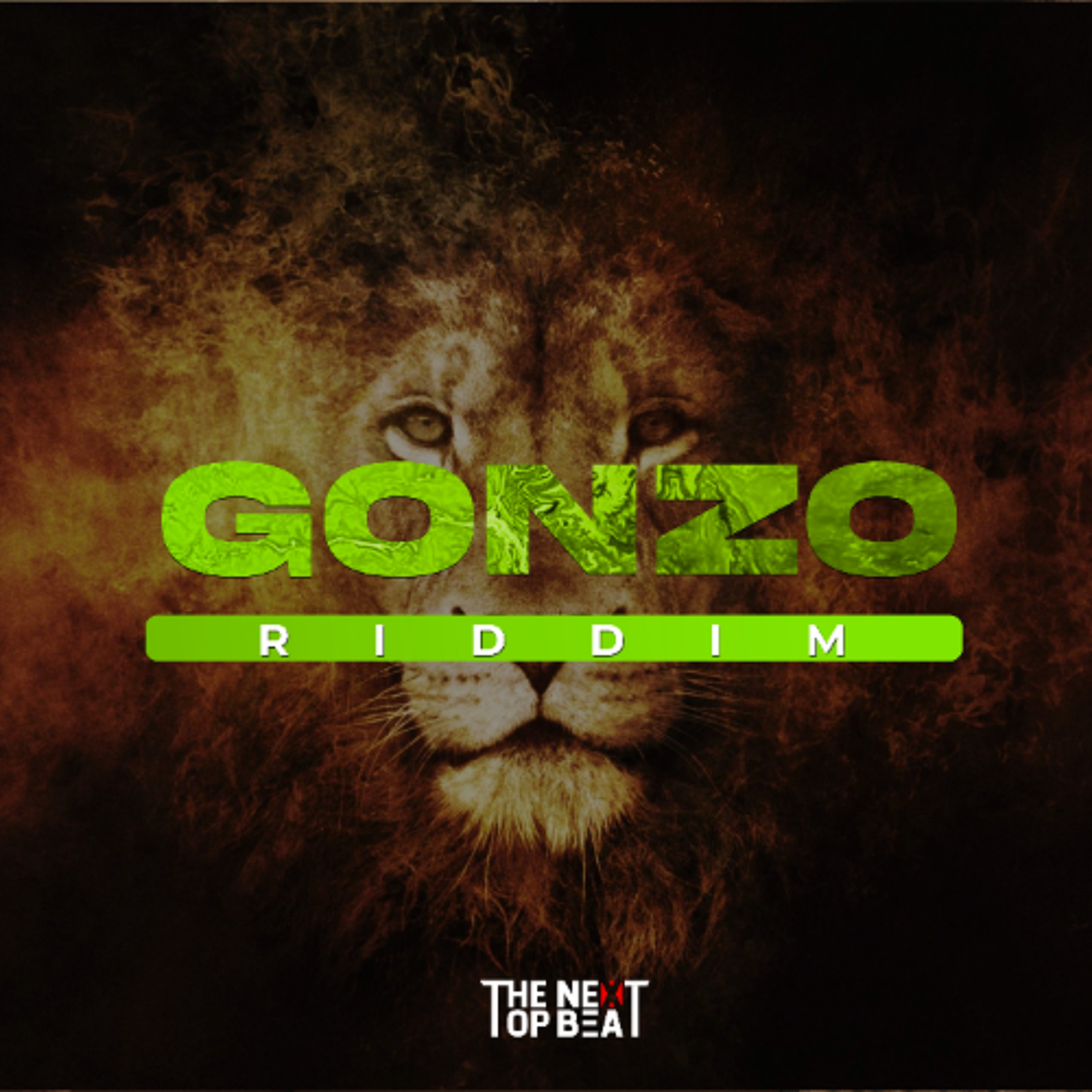 GONZO RIDDIM