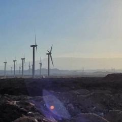 Sunlight Sheds (Original)