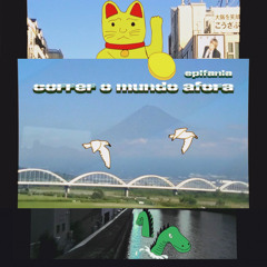 minha paz (logo me apaixonei)