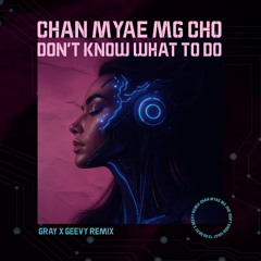 Don't Know What To Do(Gray & Geevy remix)