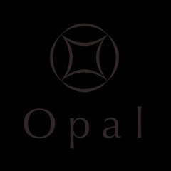 Darkside 2022, Mixed by BioKat, Opal 2022