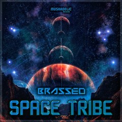Space Tribe ( Original Mix )