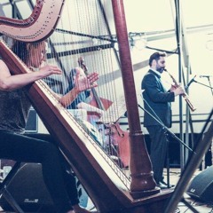 Mary"s dream - Anton Kotikov / Harp & Jazz