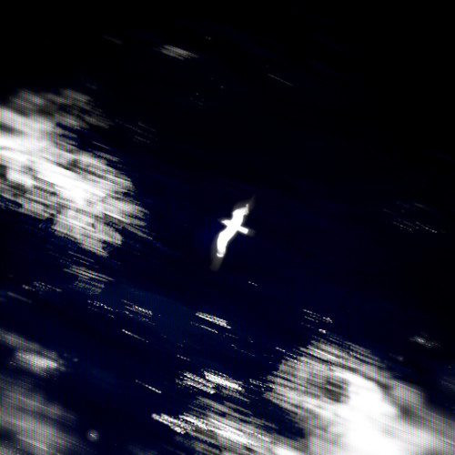 수호령 (guardian spirit)