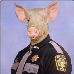 FUCK THE POLICE [remix]