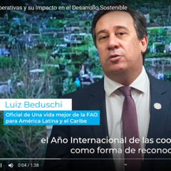 FAO - Las Cooperativas y su Impacto en el Desarrollo Sostenible - 2025 Año del Cooperativismo