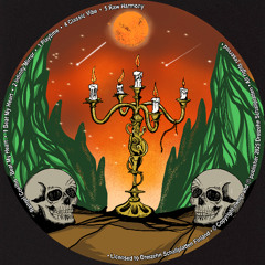 Rangel Coelho - Raw Harmony [Cut] Dreizehn Schallplatten