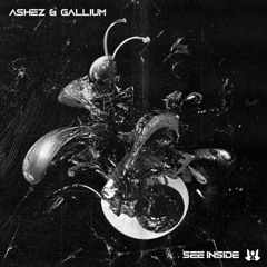 ASHEZ & Gallium - See Inside [Wavecraft Premiere]