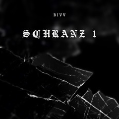 Schranz 1 - Bivv [150 - 155 bpm]