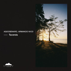 AgooseNaro, Armando Nico - Diving Sun (Original Mix)