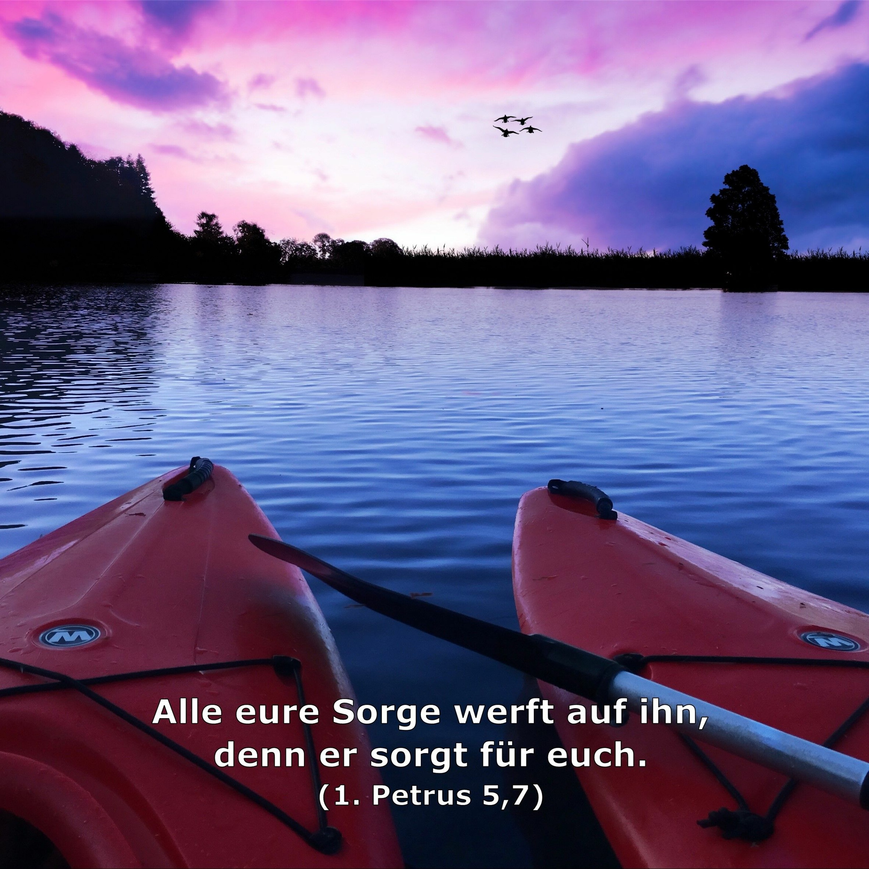 In einem Jahr durch die Bibel