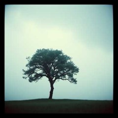 Lost in rain