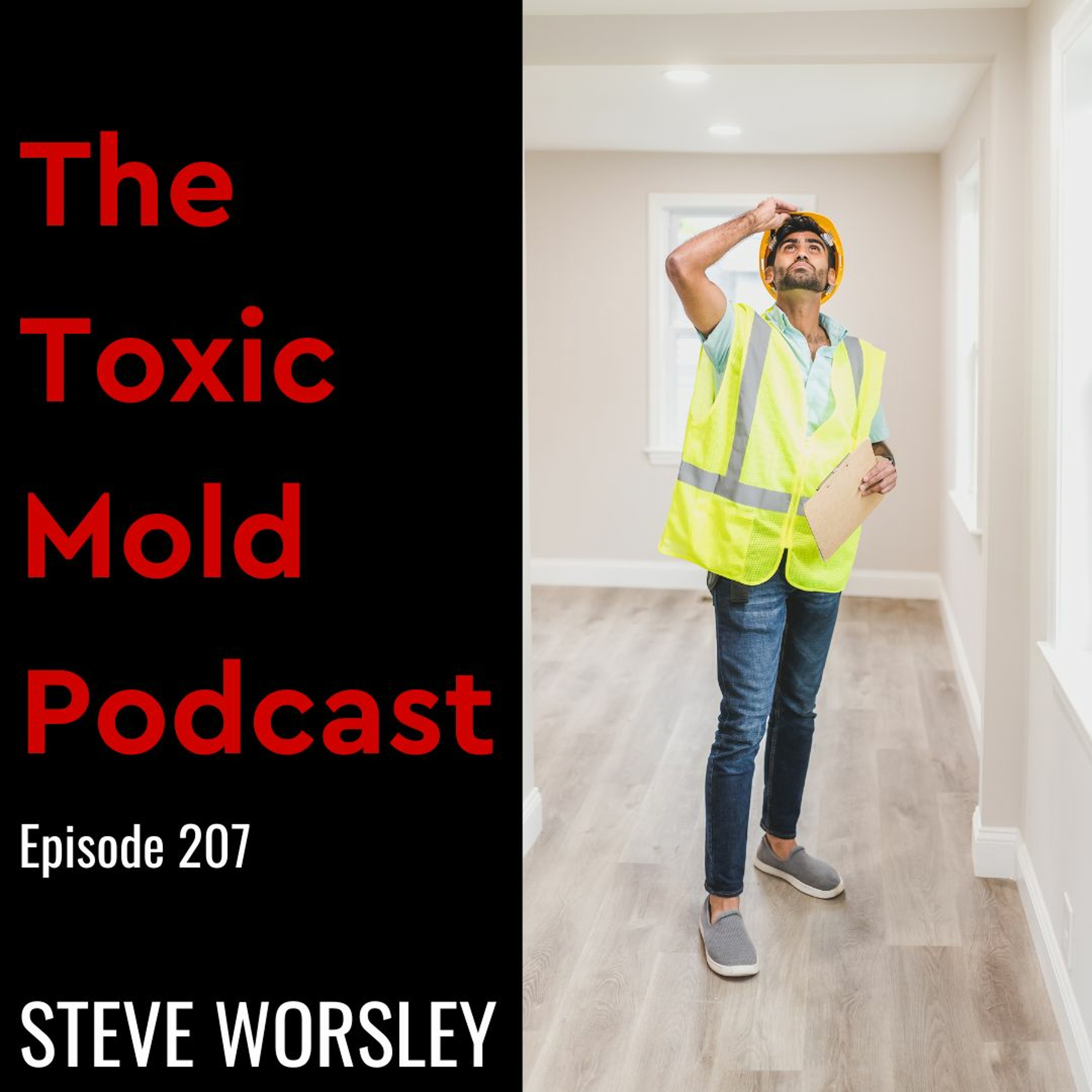 The Toxic Mold Podcast