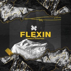 FLEXIN