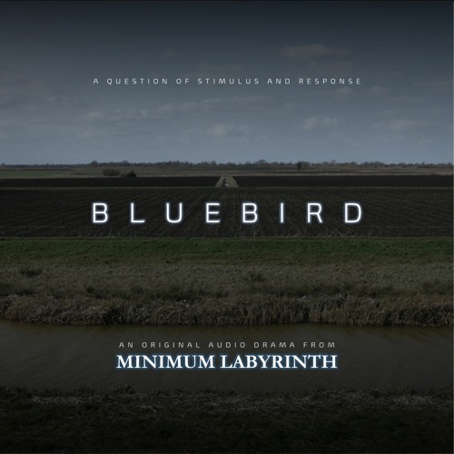 Bluebird | E01 sample