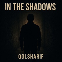 In The Shadows.mp3