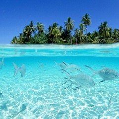 Seseres Non Ei Mataw (Dizzyboyz)