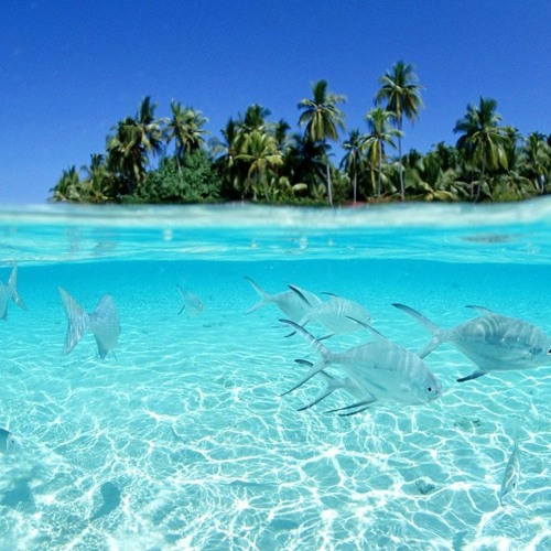 Seseres Non Ei Mataw (Dizzyboyz)