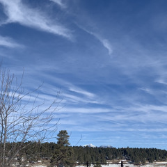 drop drop(ALL PLATS)