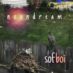 sofboi
