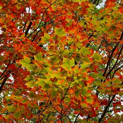 Dead2U - 40th Date-aversary Party 10/20/2023