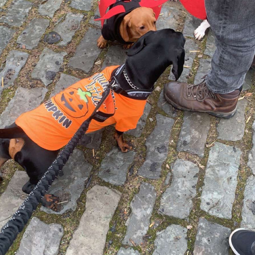 Jazzy- Giving me - sped up