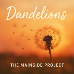 Dandelions