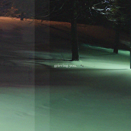 grieving you (feat. autrioly)
