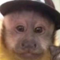 NahUdont