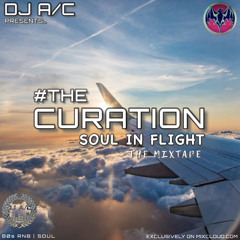 #TheCuration - Soul In Flight